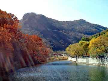 澳门二四六天天彩图库，落日岛